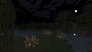 The firefly bush is one of the biggest highlights of the Minecraft Bedrock 1.21.70.20 beta and preview (Image via Mojang Studios)